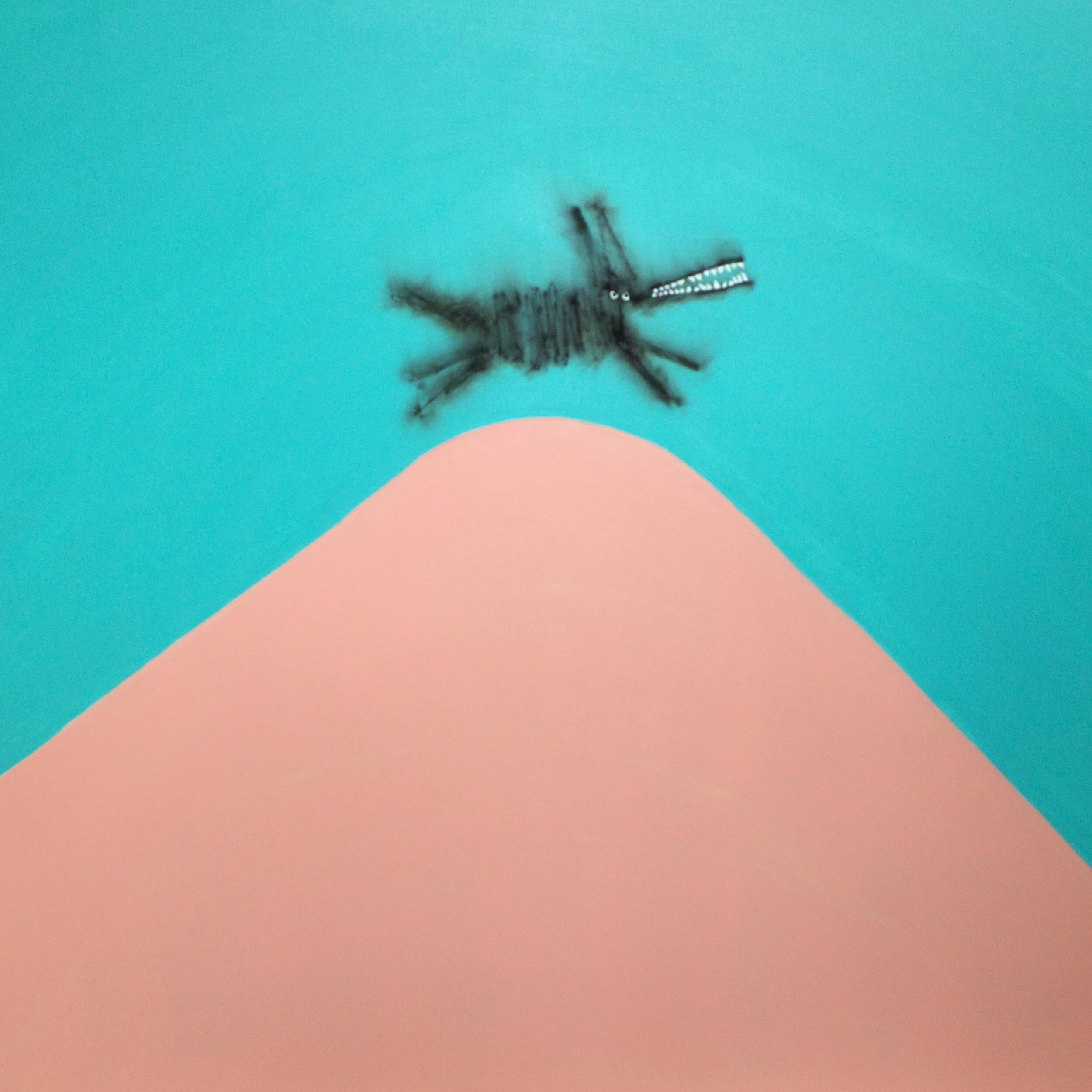 Jump Archie Jump.JPG