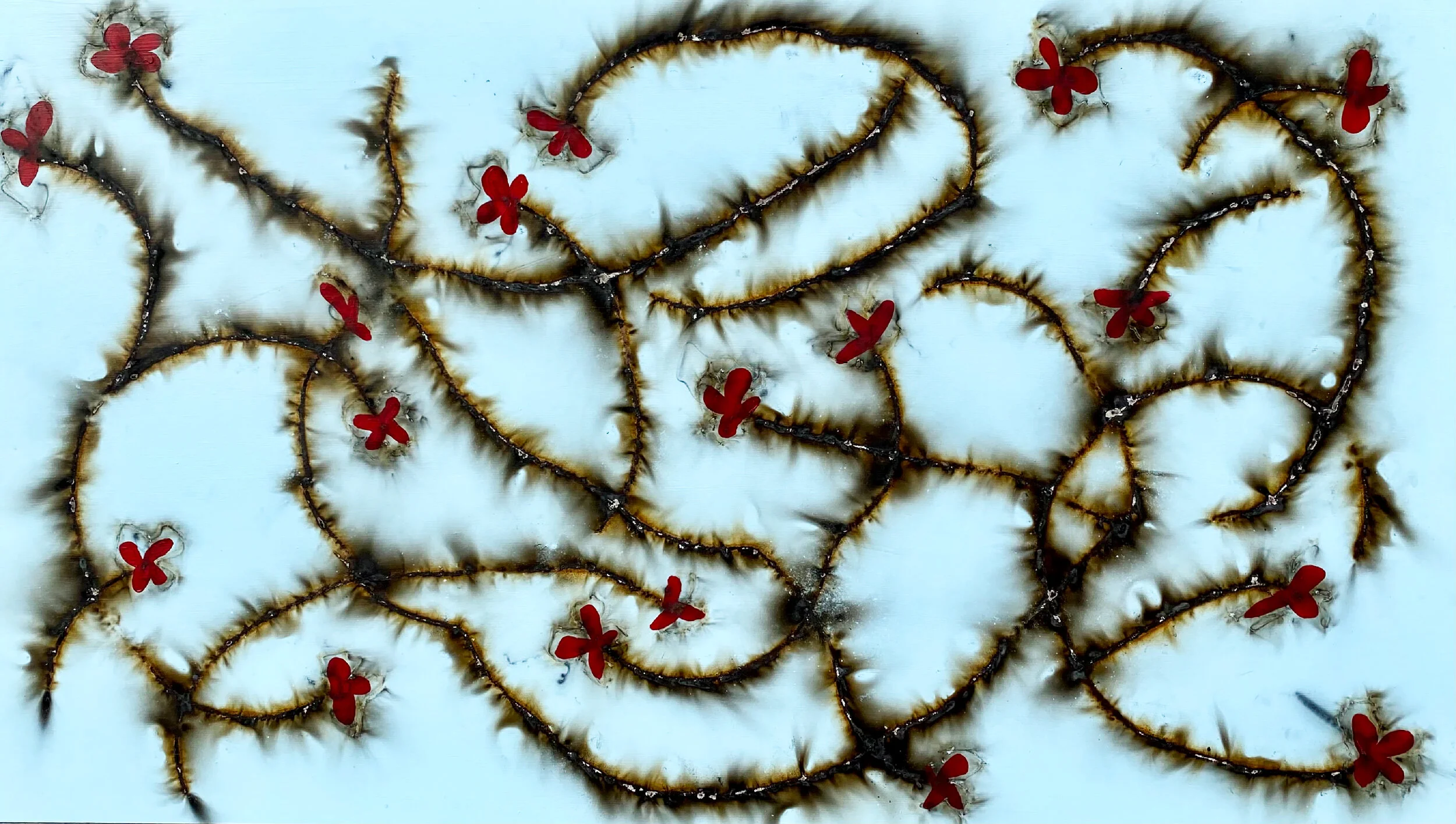 Gillis 18 Red Flowers LM.jpeg