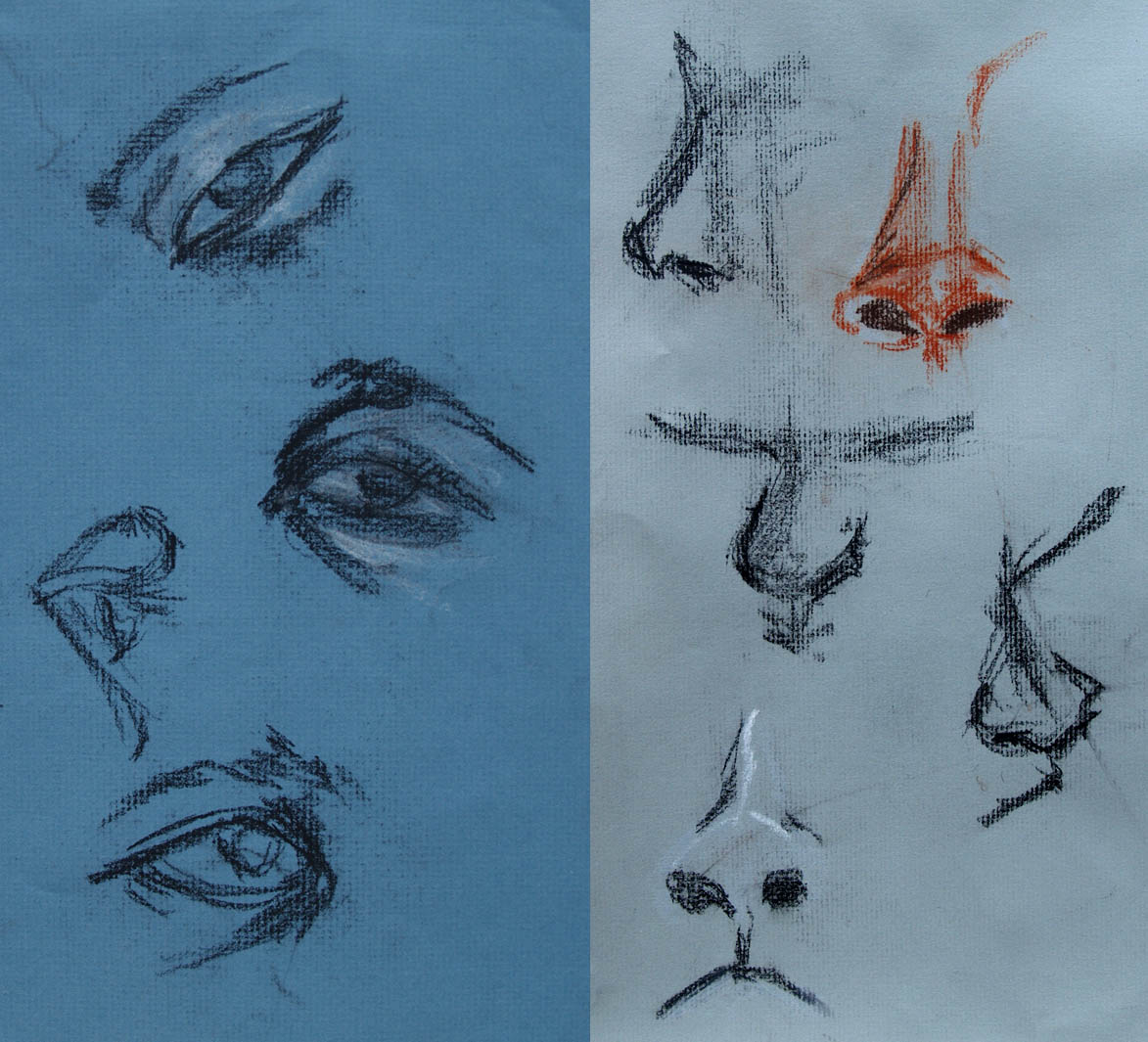 nose and eye study, 2013