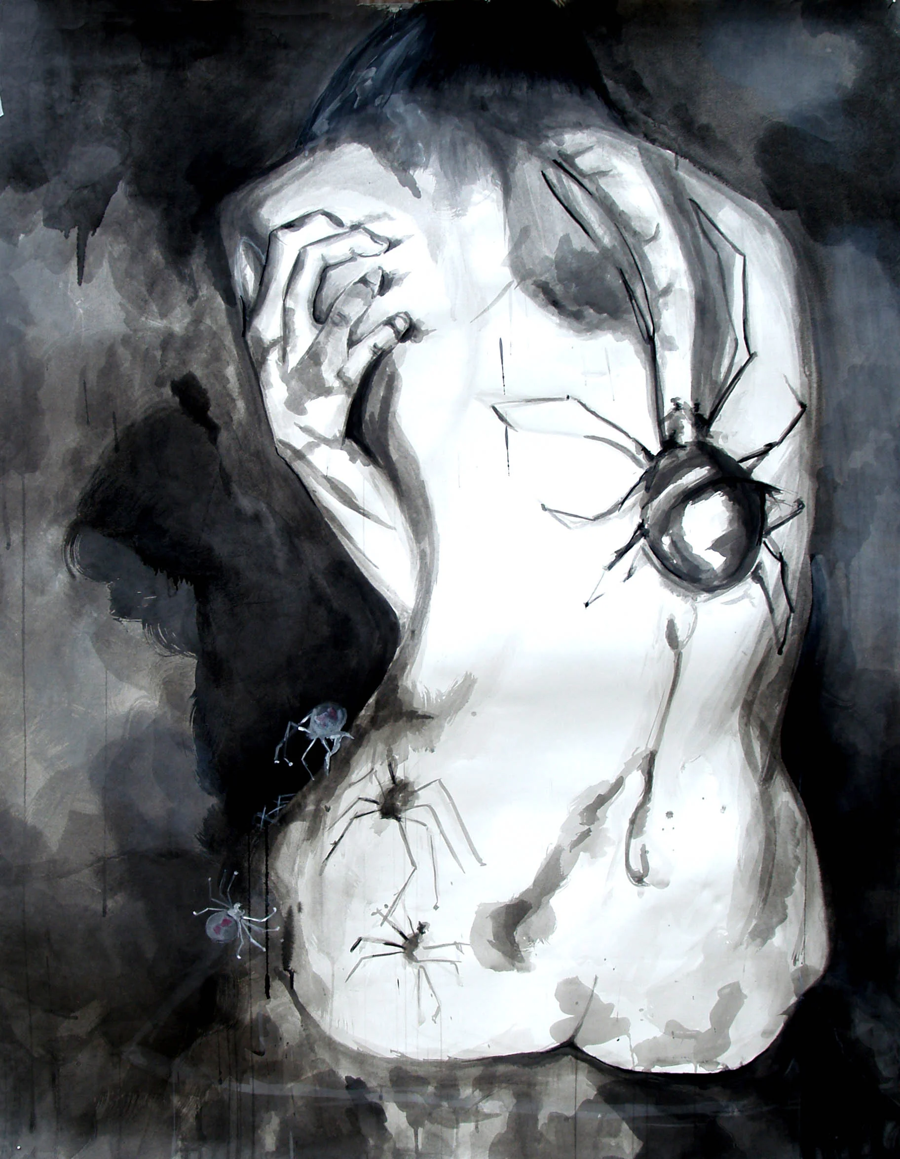 Arachnophobe, 2013