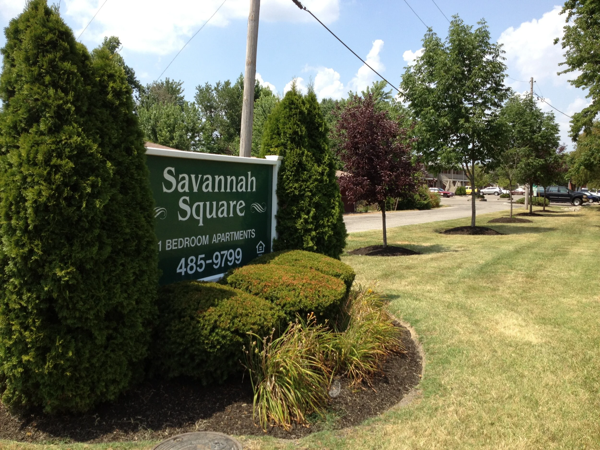 *SS Sign and driveway.JPG