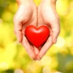Heart in Hands.jpg
