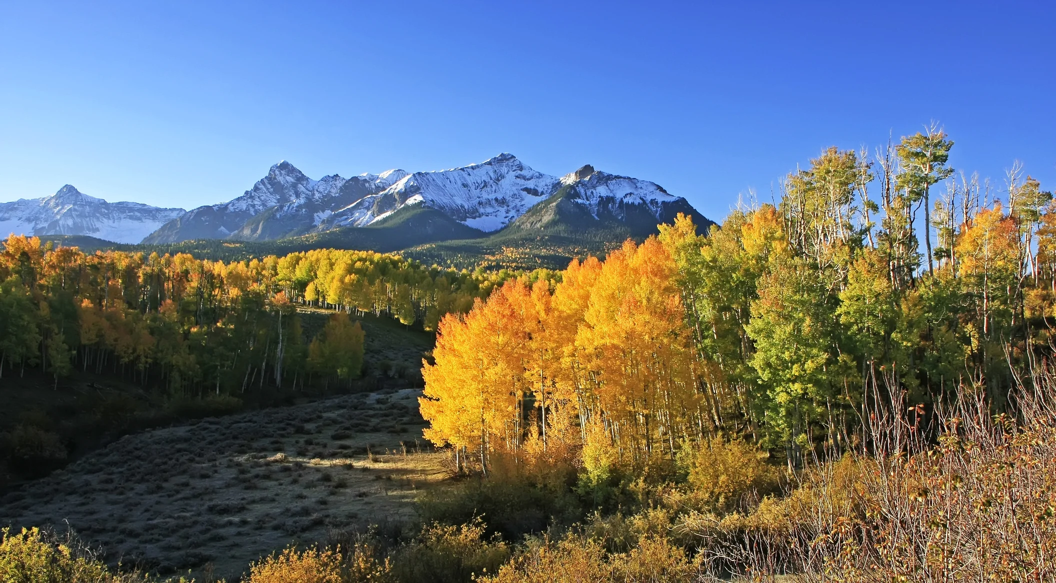 fall mountain scene.jpg