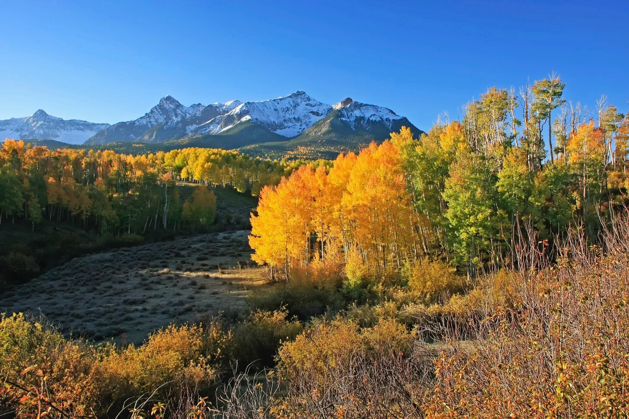 fall mountain scene.jpg