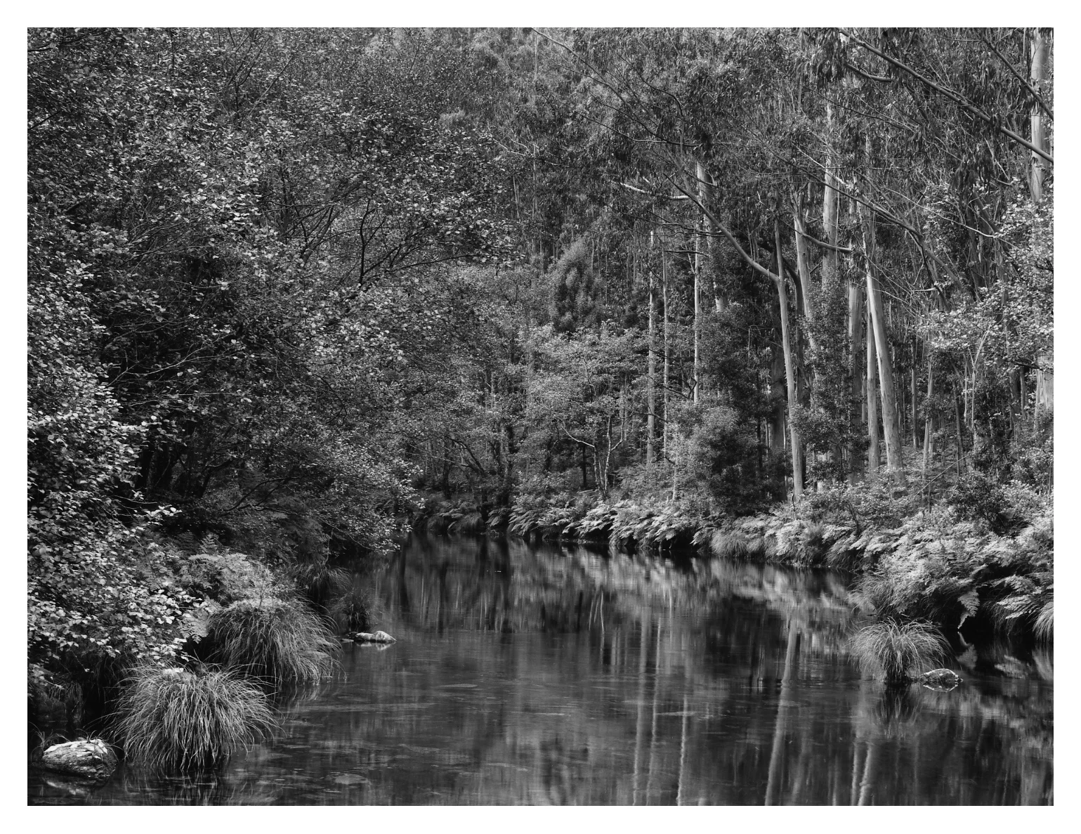 Rio Sor.jpg