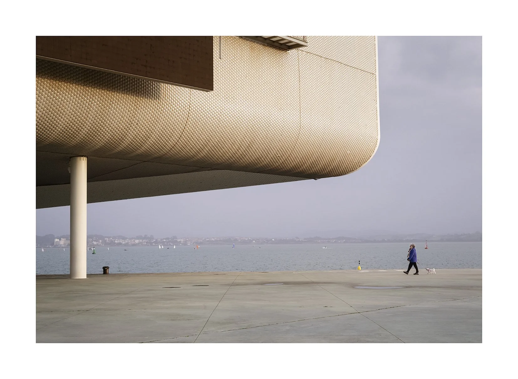 Botin mujer perrito gnof.jpg