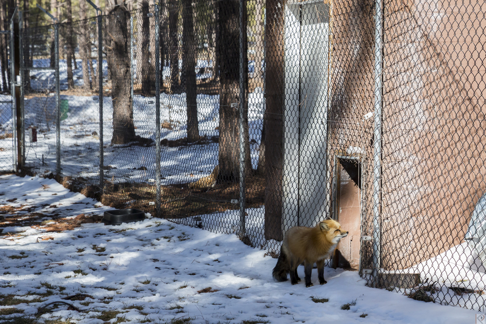 mikes-surprise-birthday-flagstaff-33.jpg