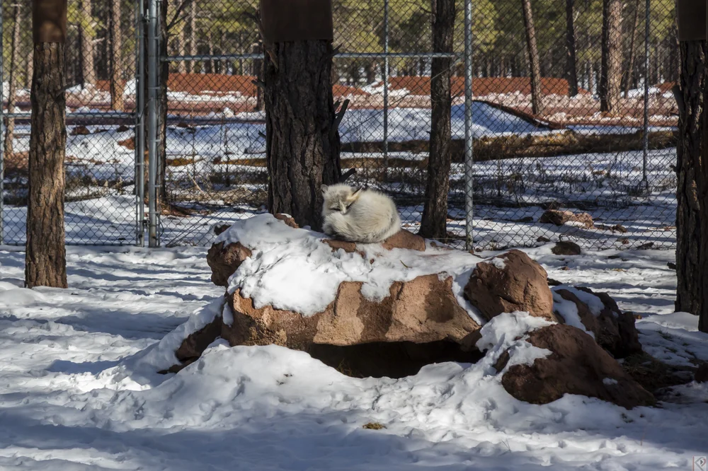 mikes-surprise-birthday-flagstaff-36.jpg