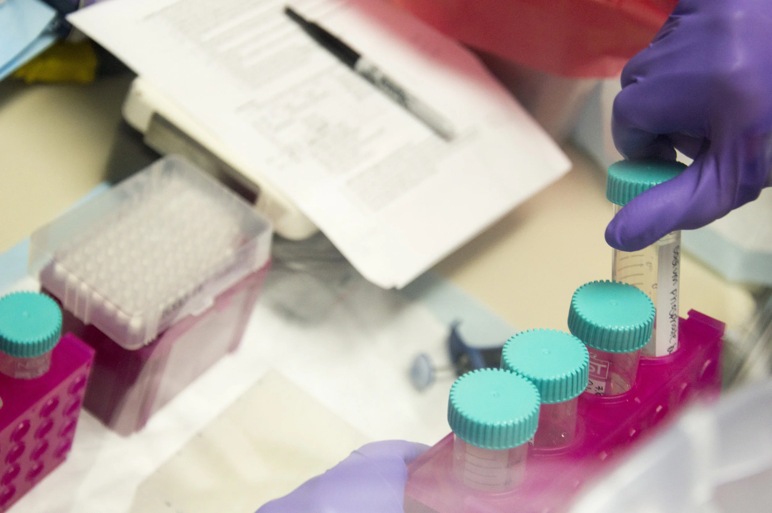 Catalyzing Research