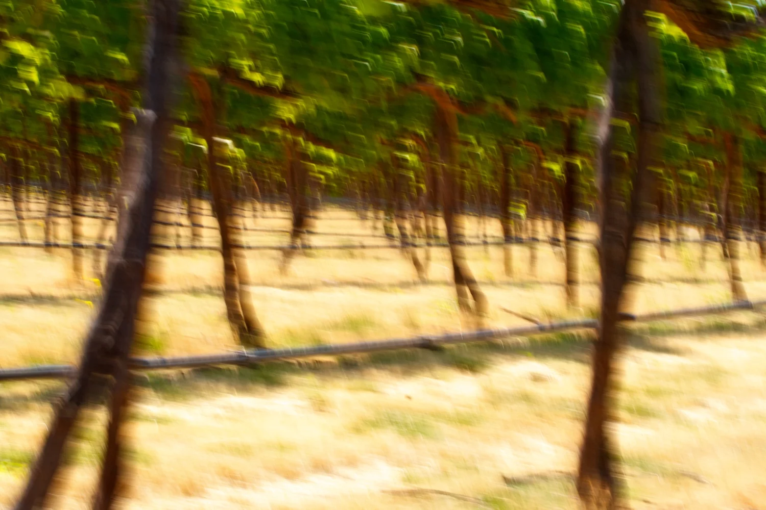 Rancho Rioja 018.jpg