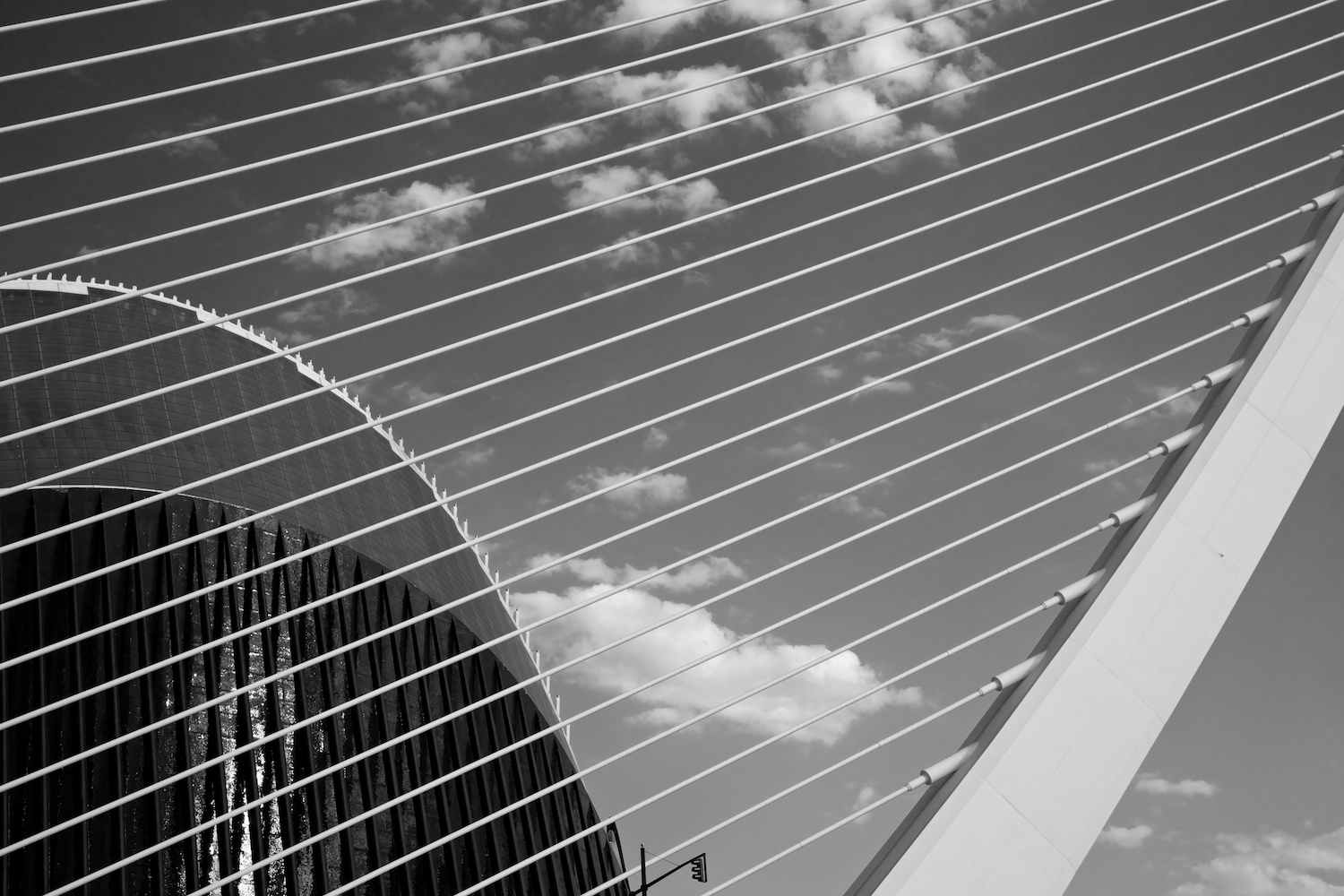 939A0116 - Version 2.jpg