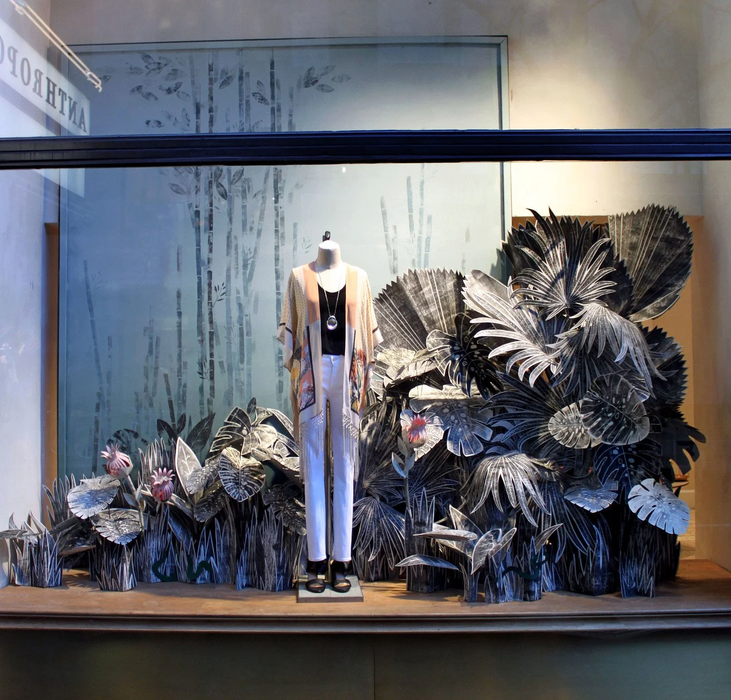 image-asset (1).jpeg