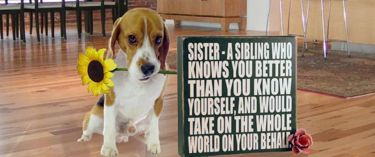 Sister Beagle