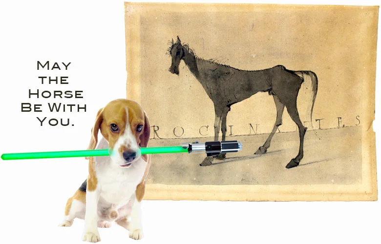 Beagle_Indy_MayTheHorseBeWithYou.jpg