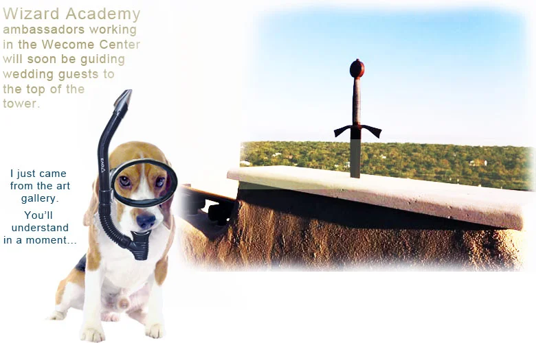 script-for-star-deck-tour