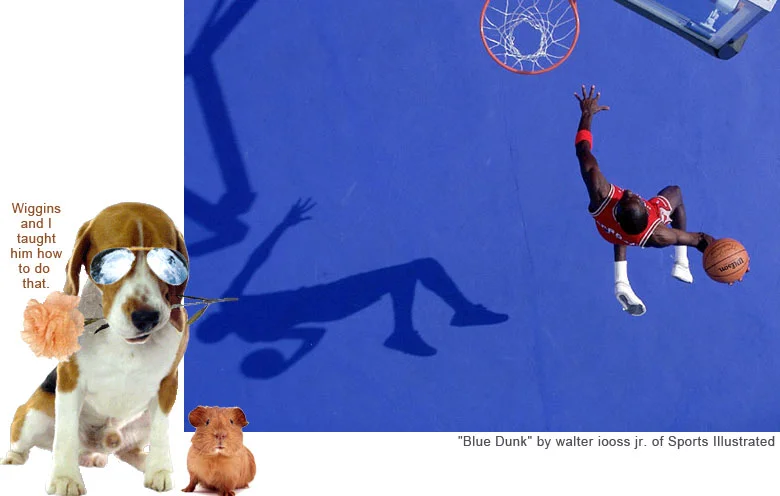 michael-jordan-and-you