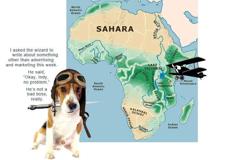 a-girl-up-in-the-air-in-africa