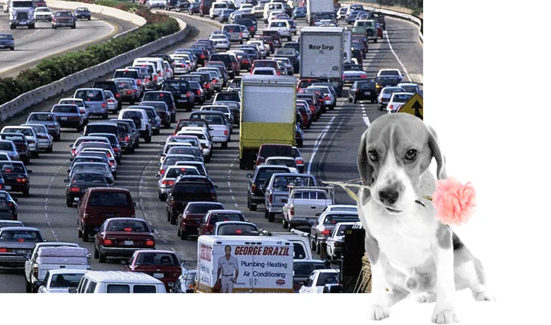 radio-vs-pay-for-click