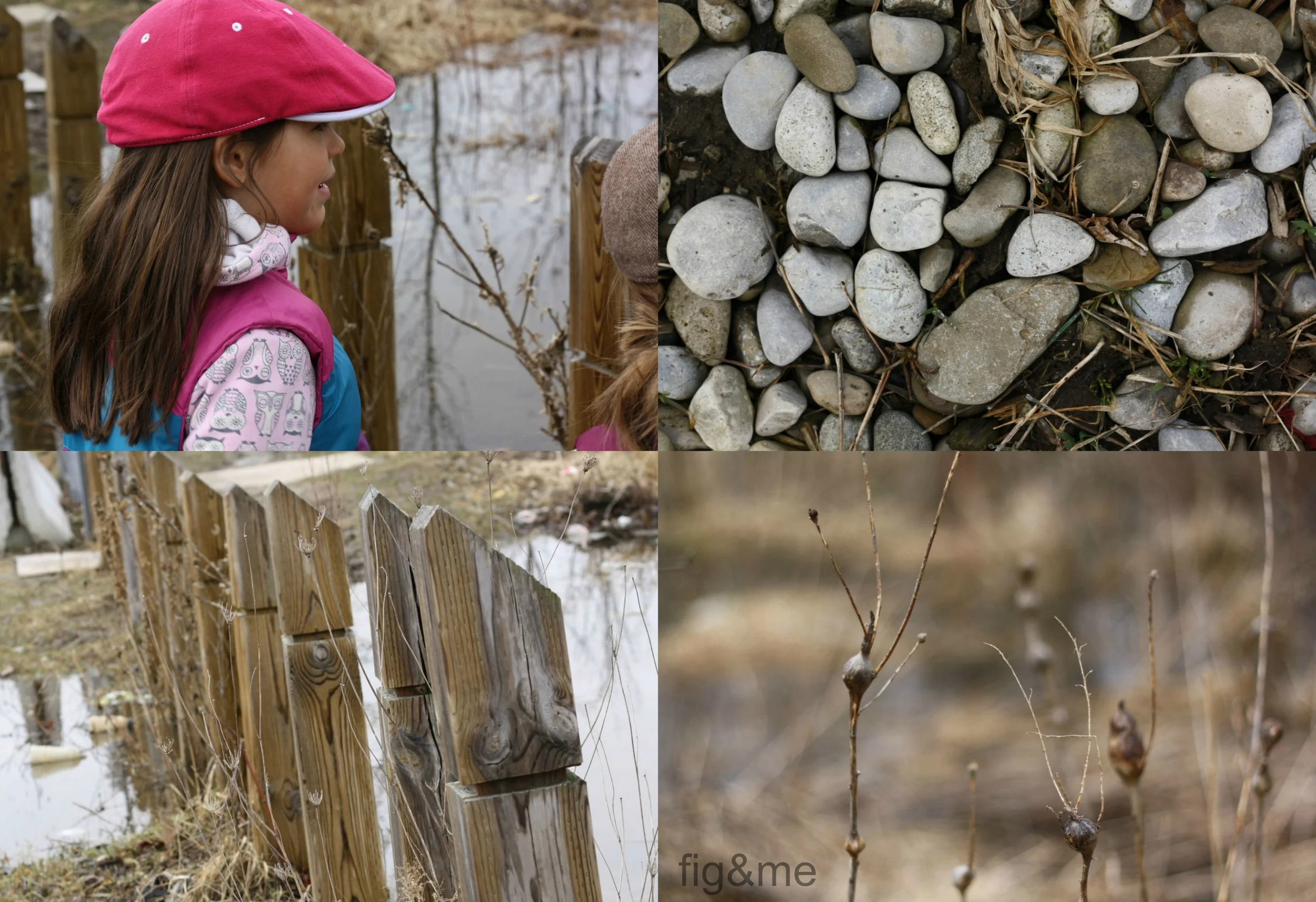 SpringCollage2.jpg
