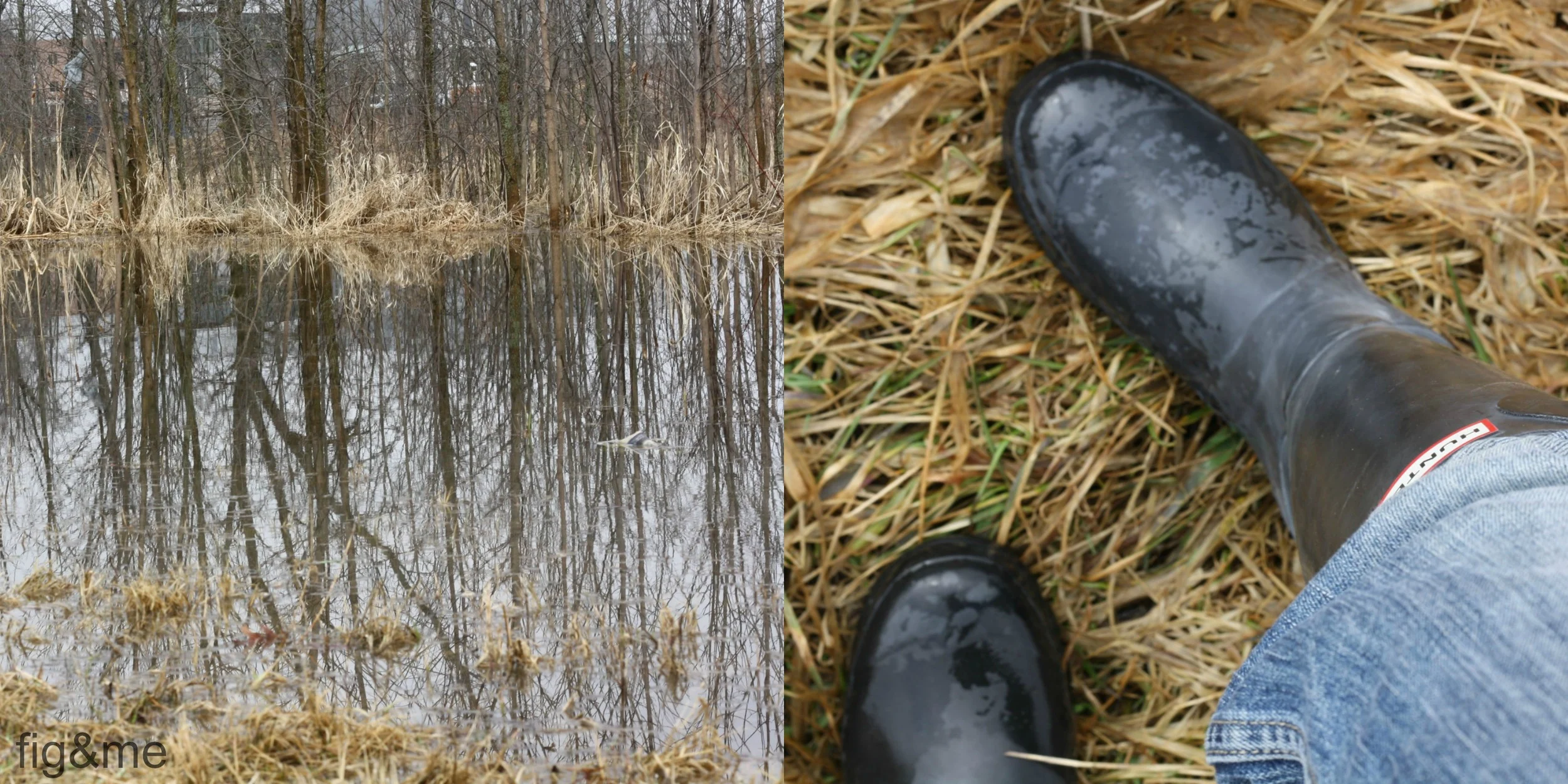 SpringDiptych3.jpg