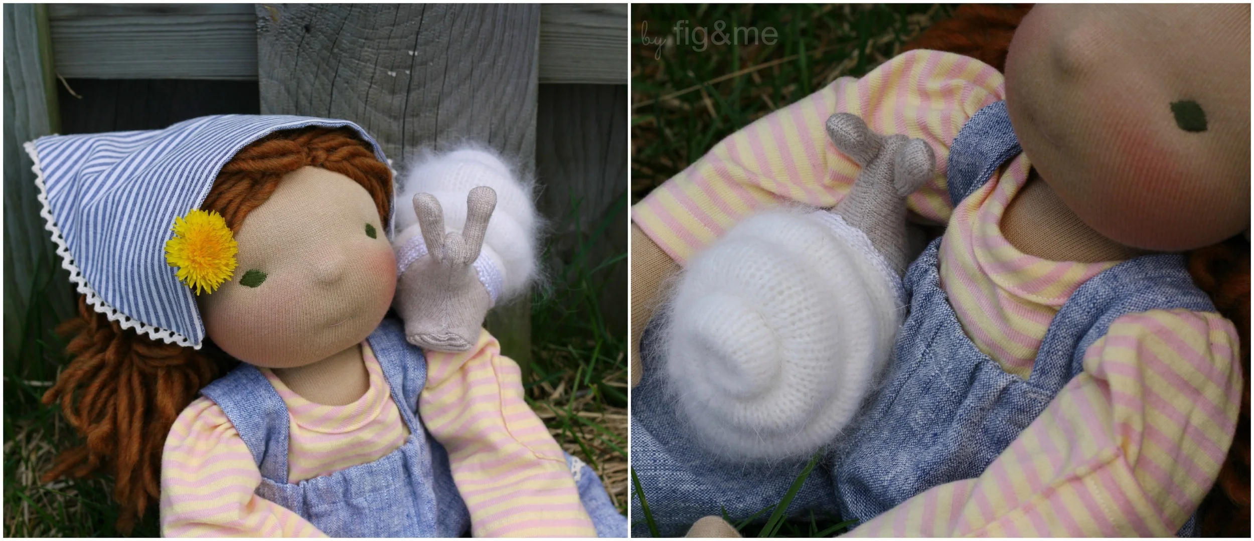 PirateSnail-figandme.jpg