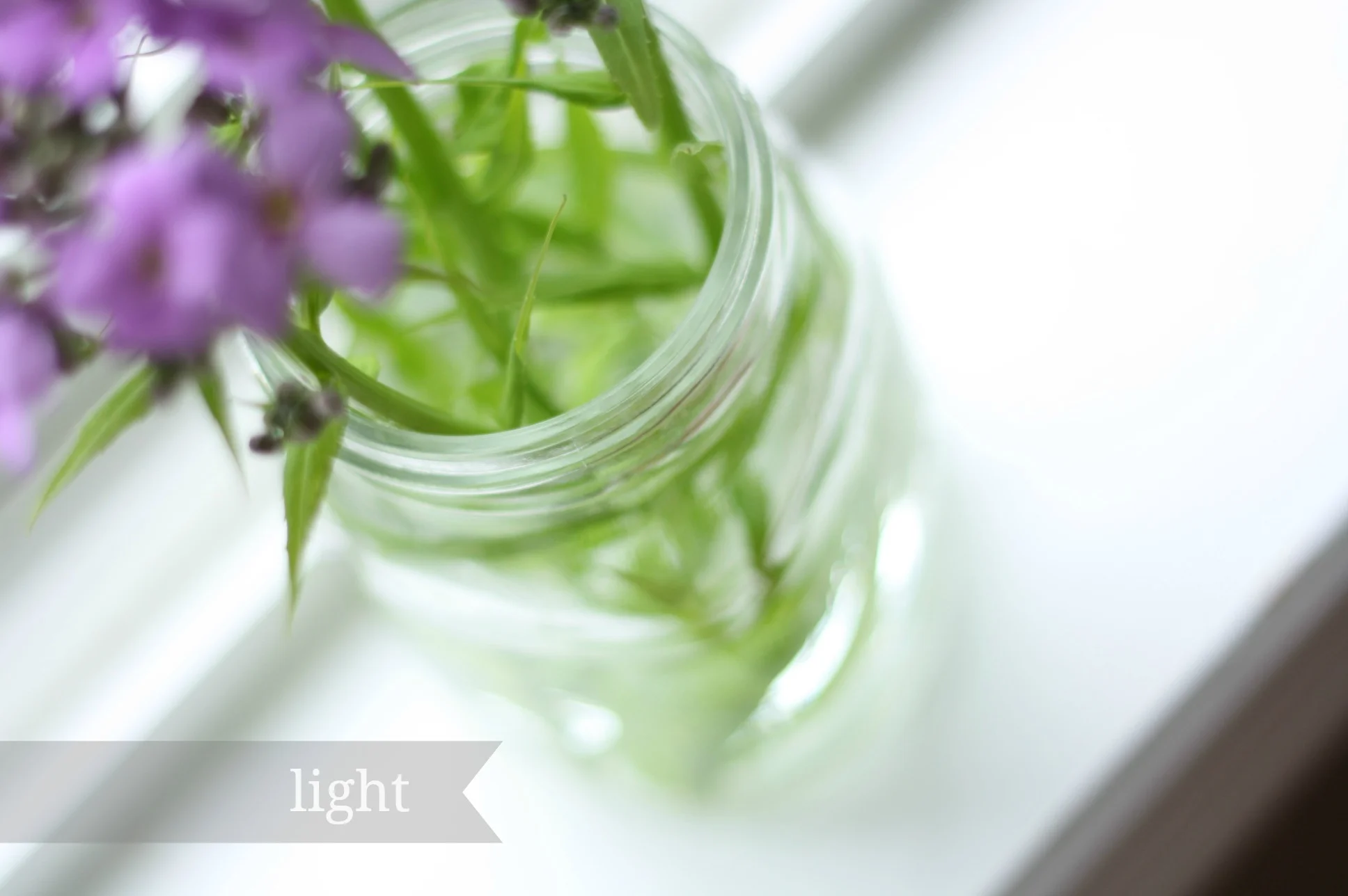 light.jpg