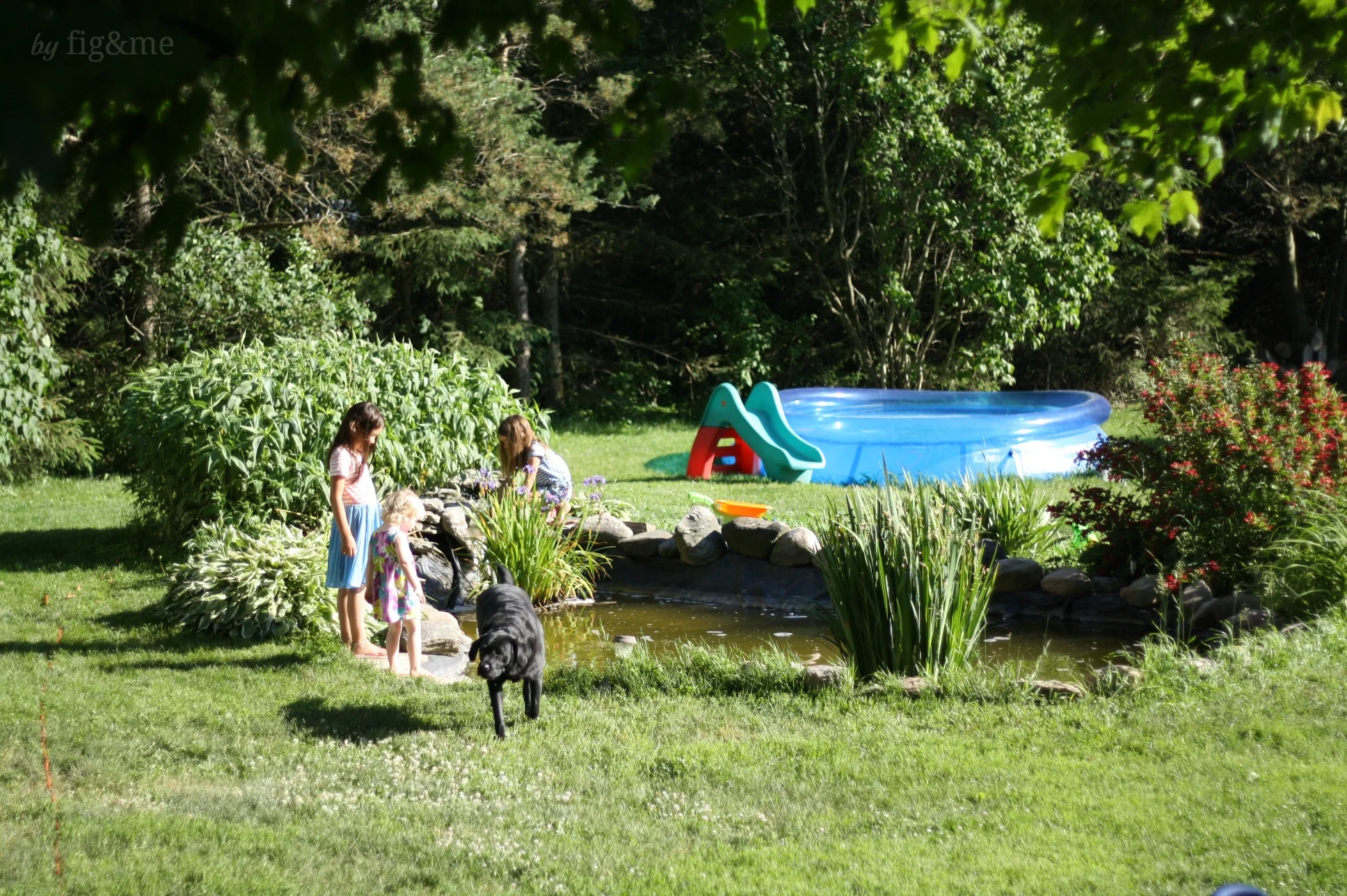 little pond, by fig and me.