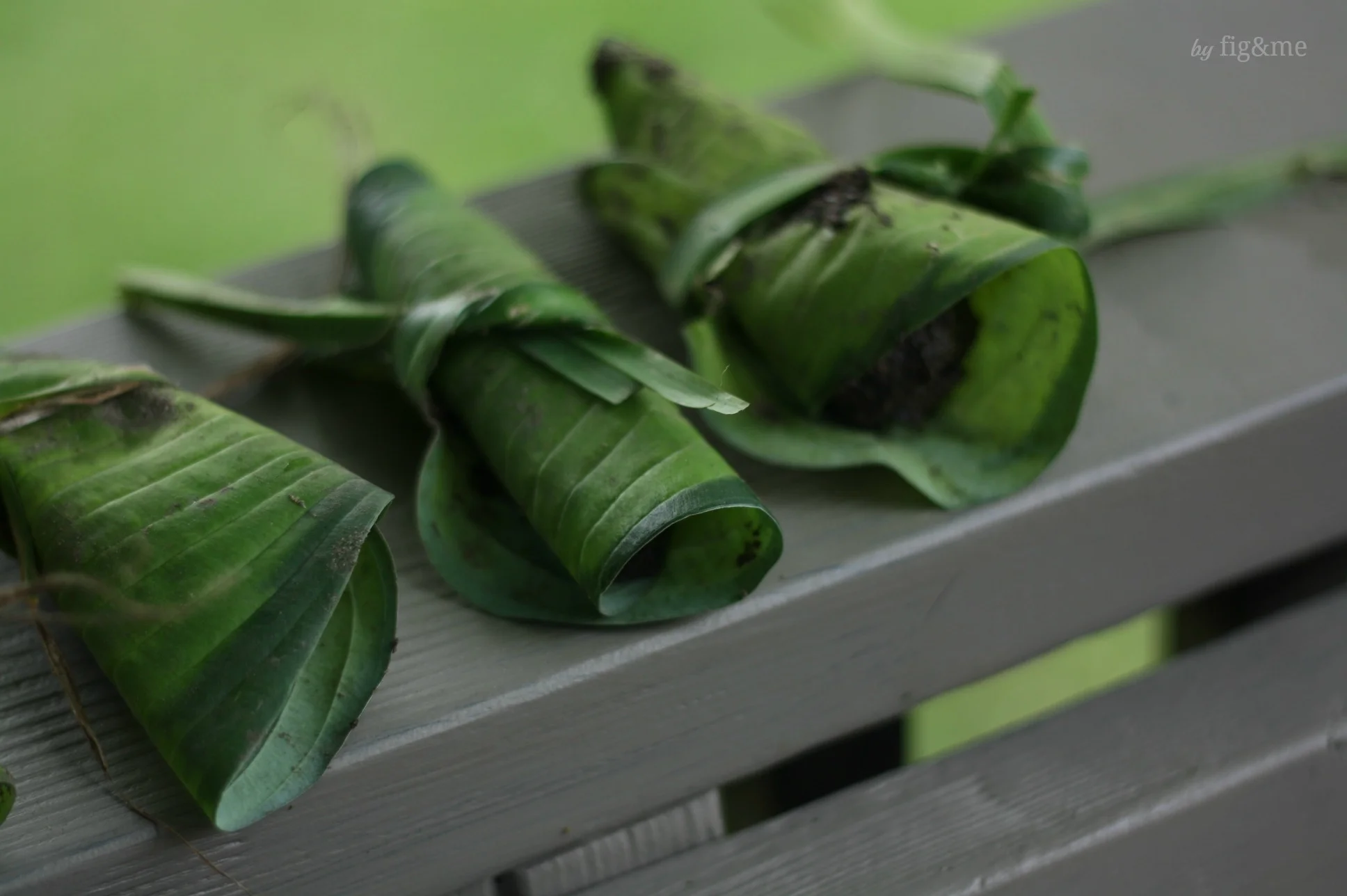 Mud tamales with hostas, by Fig and me.