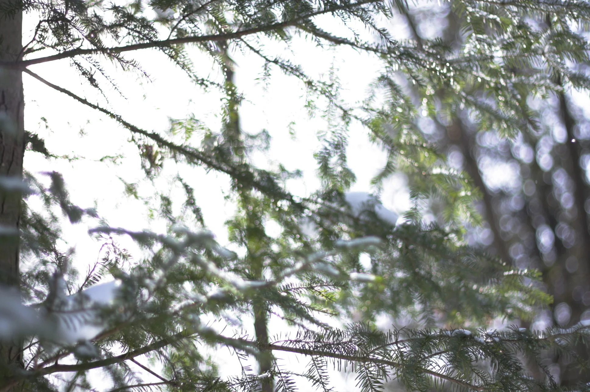 winter-curtains.jpg
