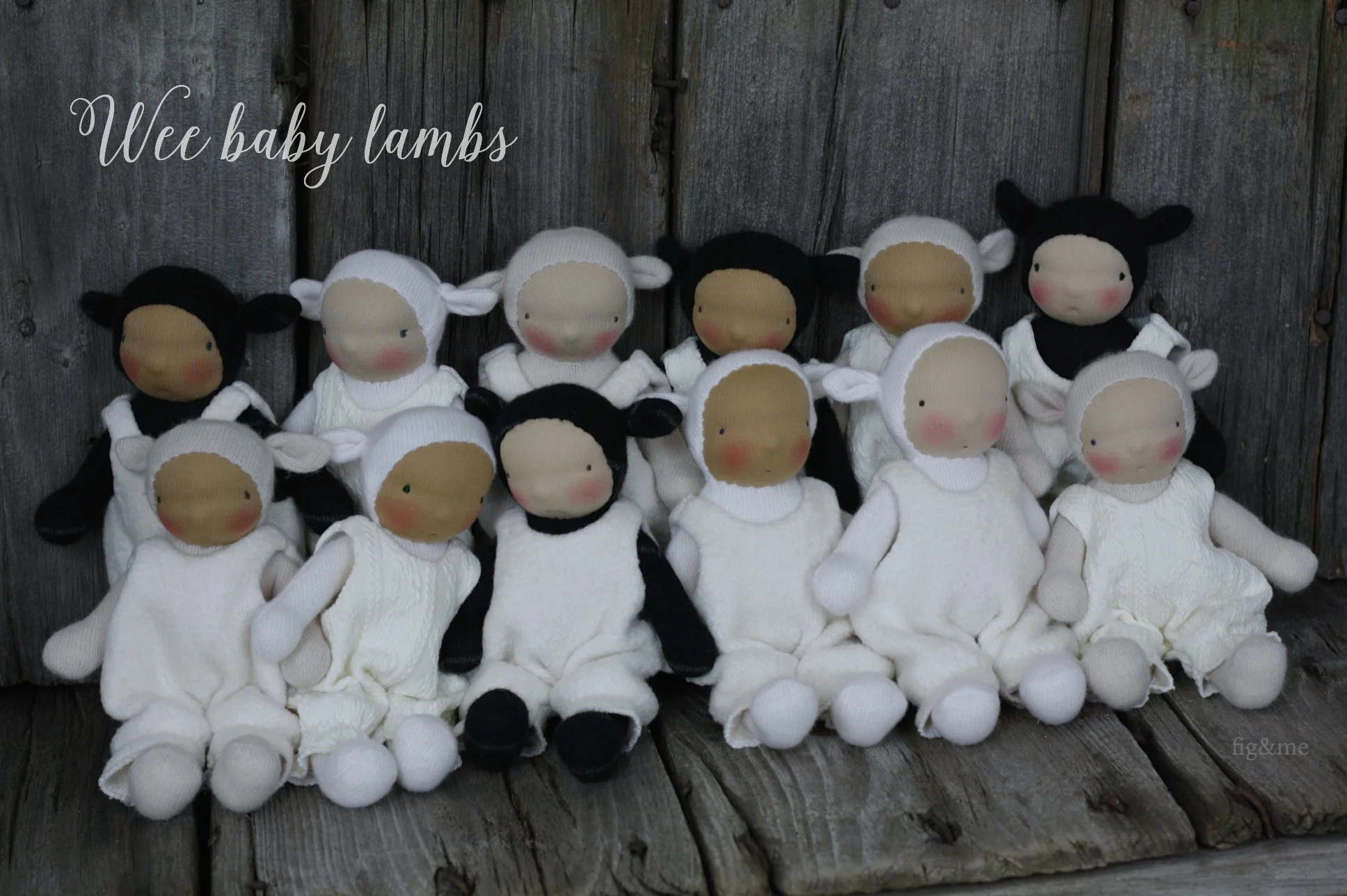 Lambing season. — fig & me
