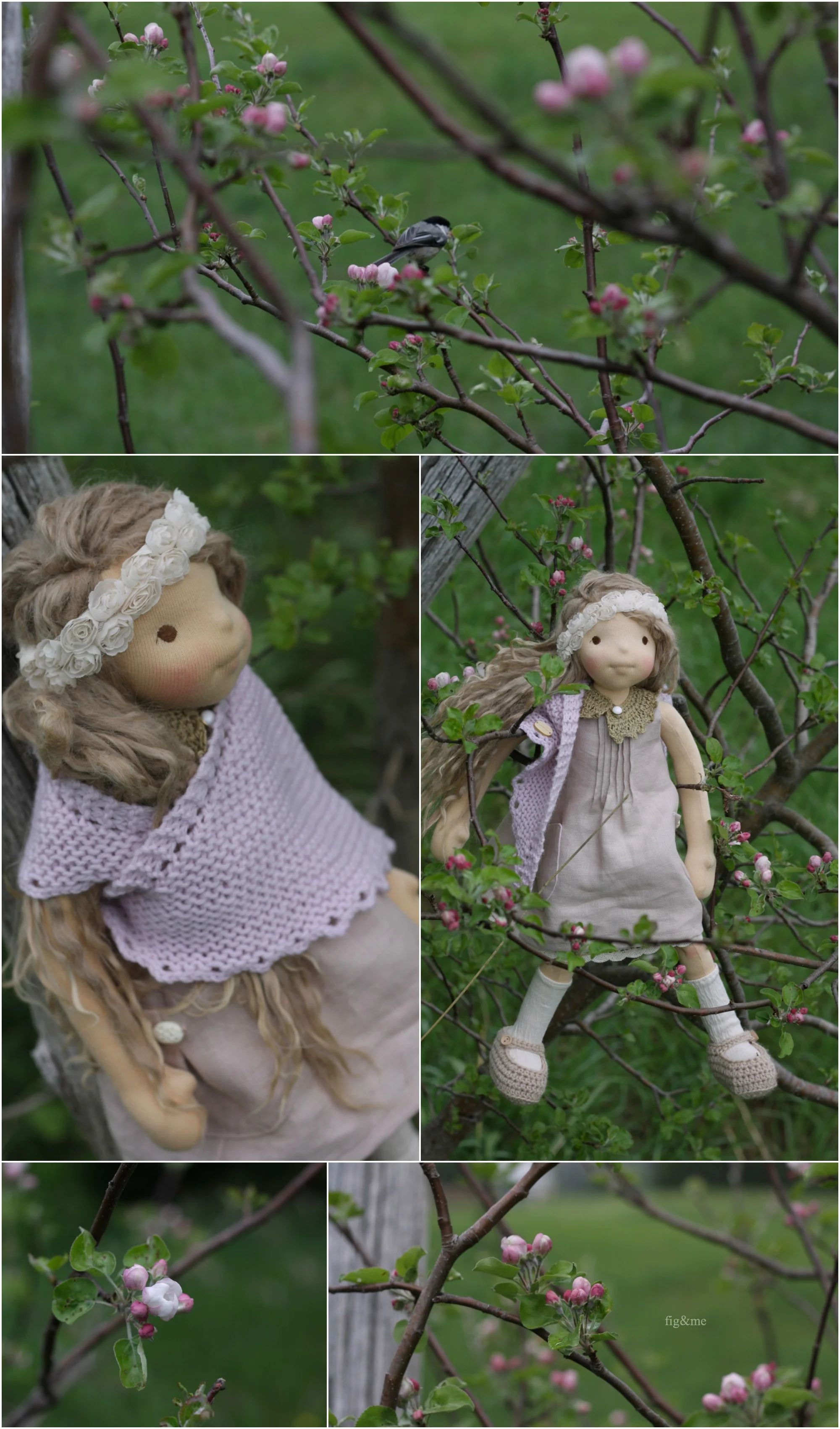 Pomona finds apple blossoms and chickadees, by Fig and me.