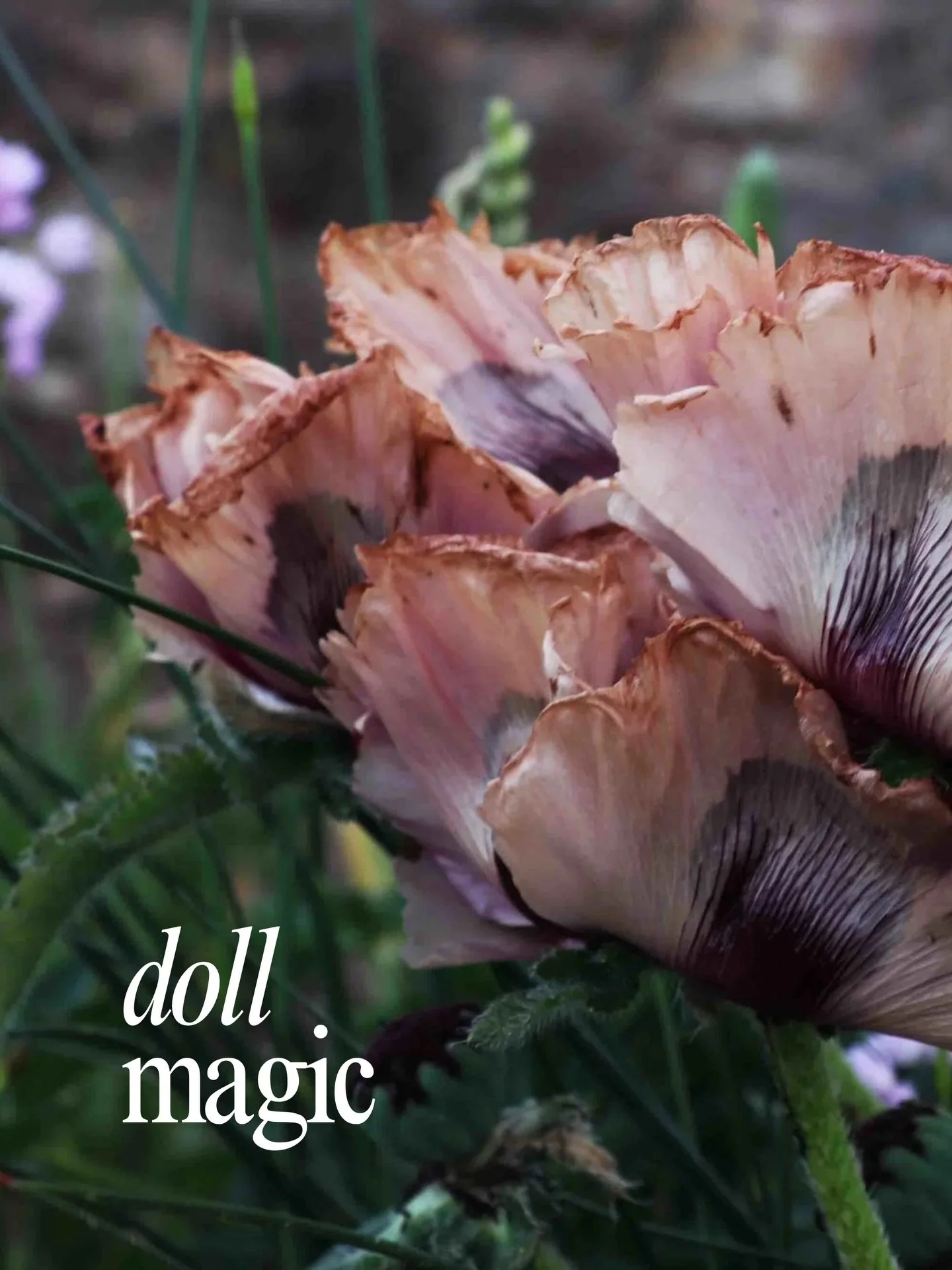 Discovering dollmaking has been one of the greatest gifts this life has bestowed on me. It came to me through the naive intentions being a young mother wanting to make a little doll for her 3-year old daughter. And it has never left me.

Now I feel I