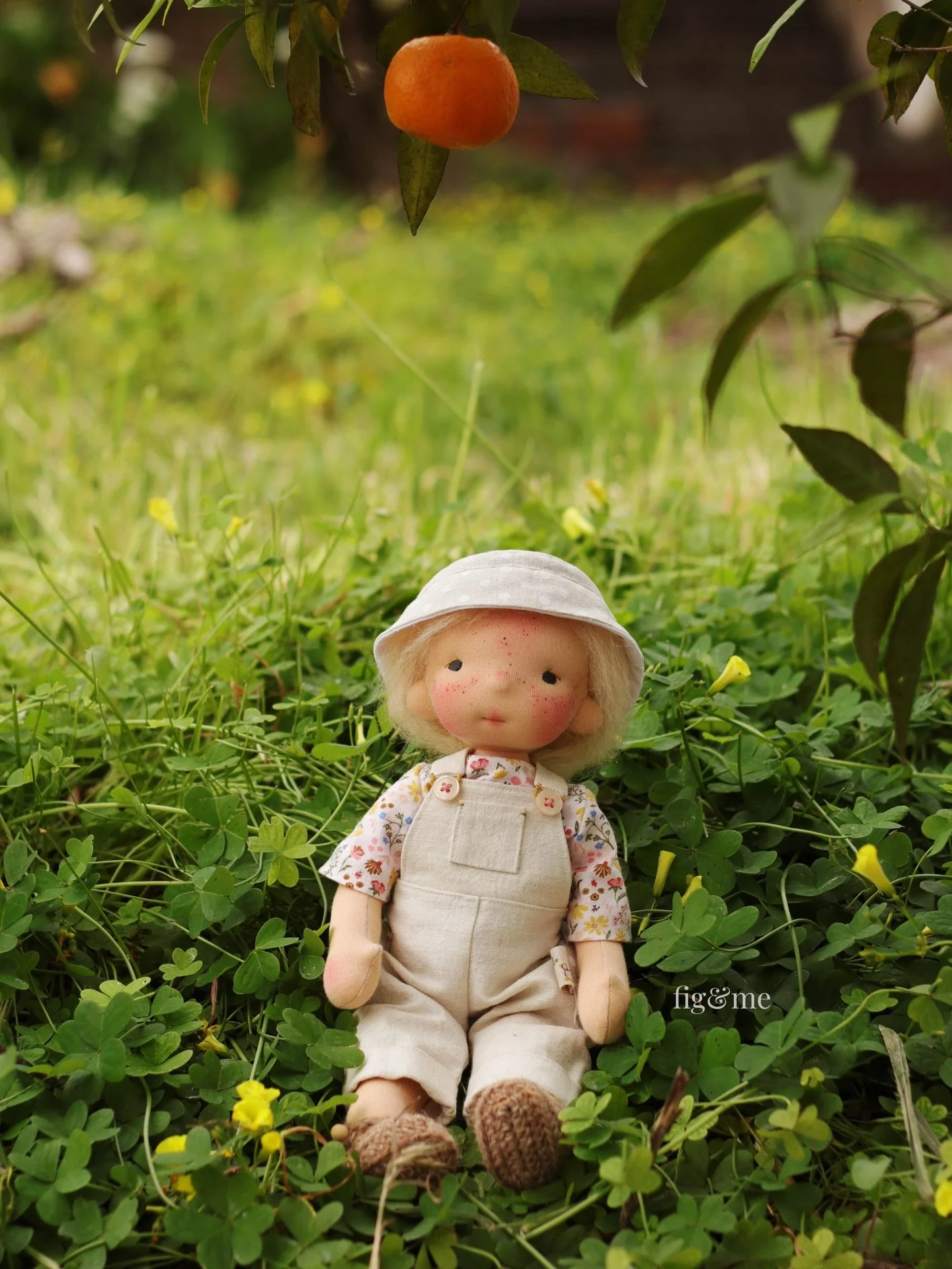 Miss Molly stares at that mandarin, hoping it either falls near her or she can jump that high. Sometimes, being a short little thing has many disadvantages. One of them is procuring your favourite fruit from the garden 🪴.

Do you have kind words of 