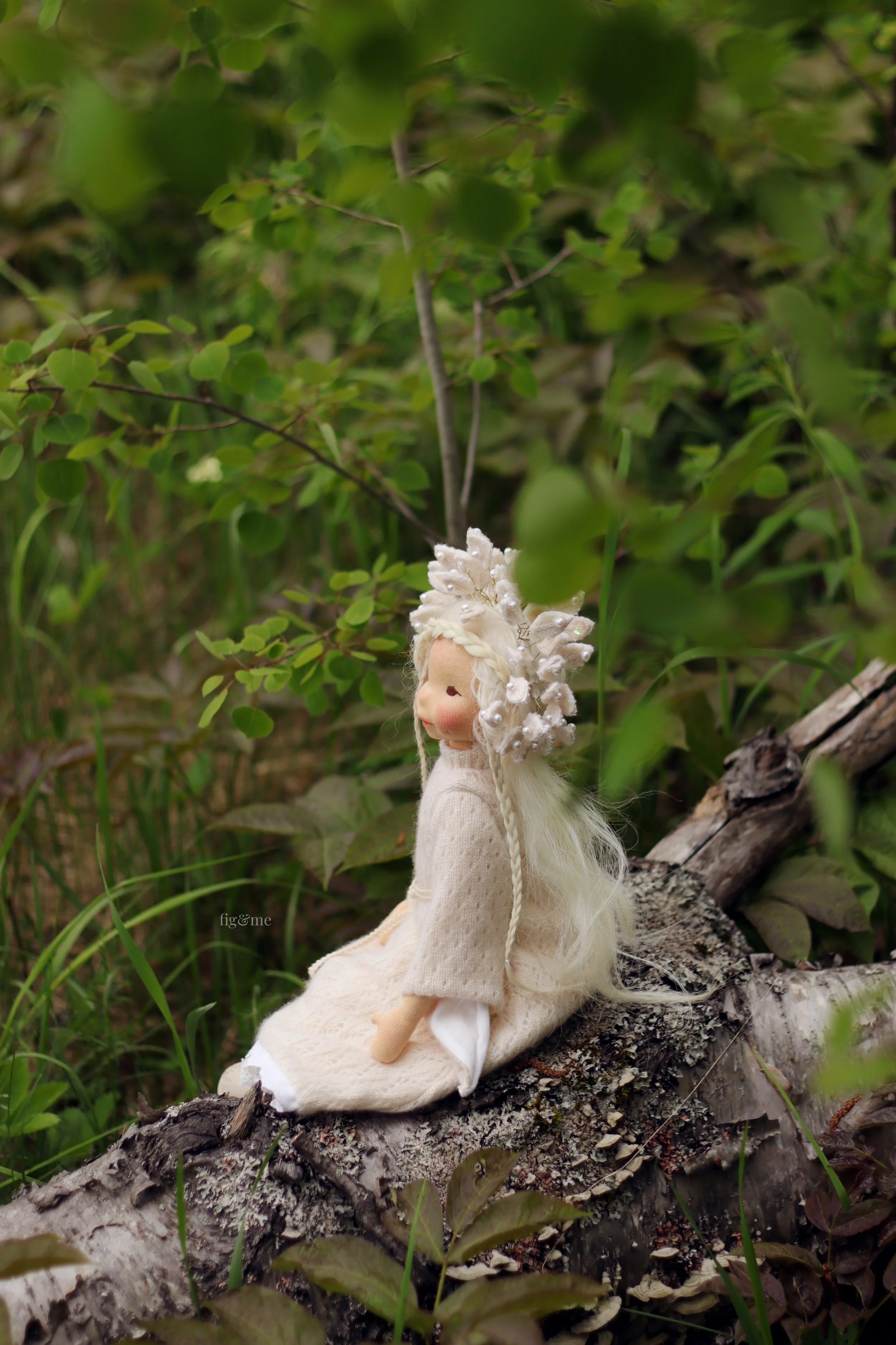 Birch, Our Lady of The Woods