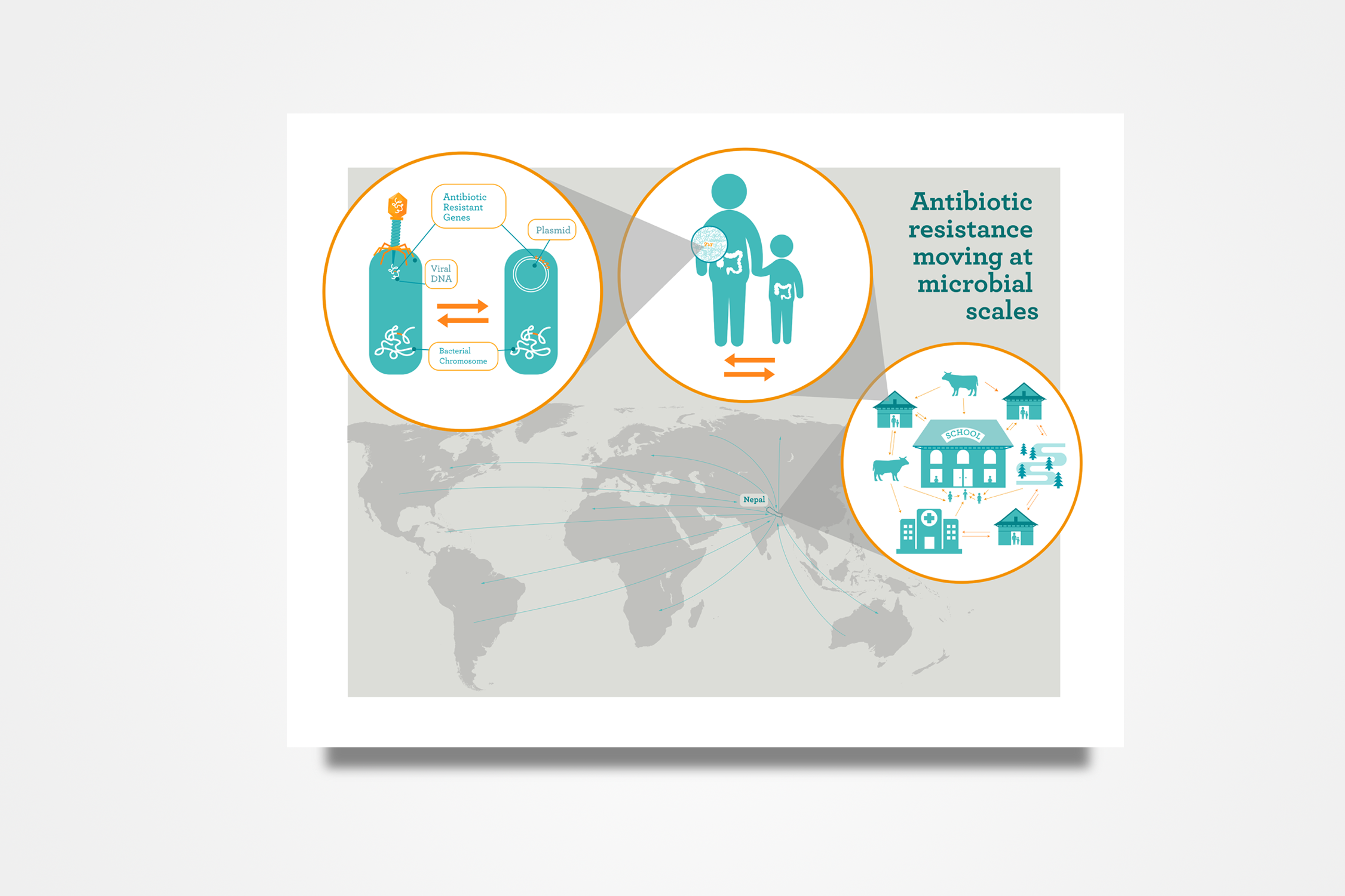 infographic website.png