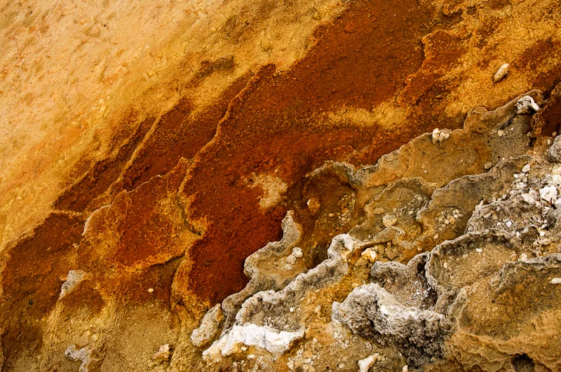 Geyser Study 0544.jpg