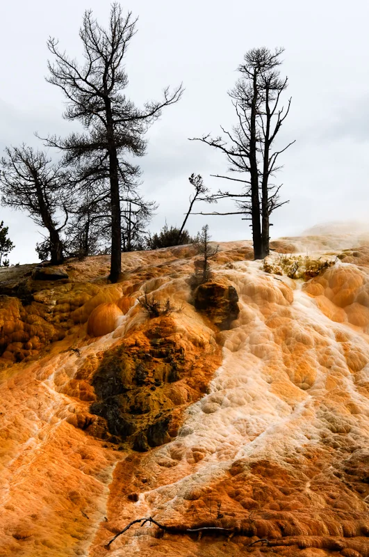 Geyser Study 0558.jpg
