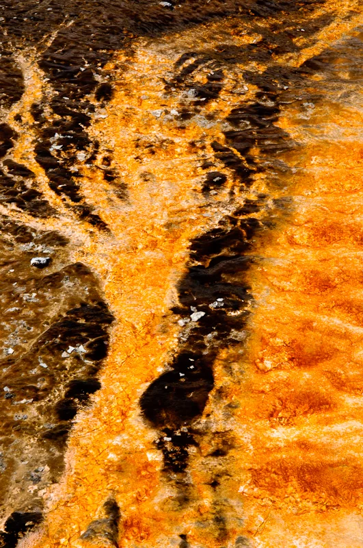 Geyser469.jpg