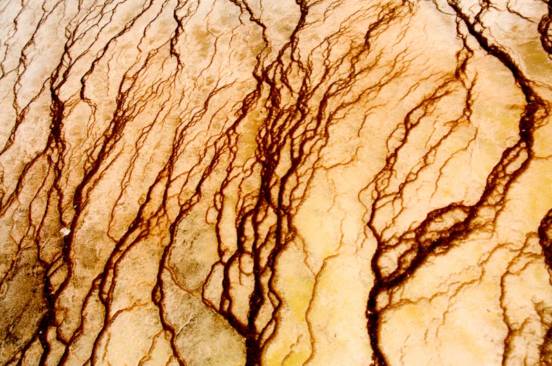 Geyser Study 0009.jpg