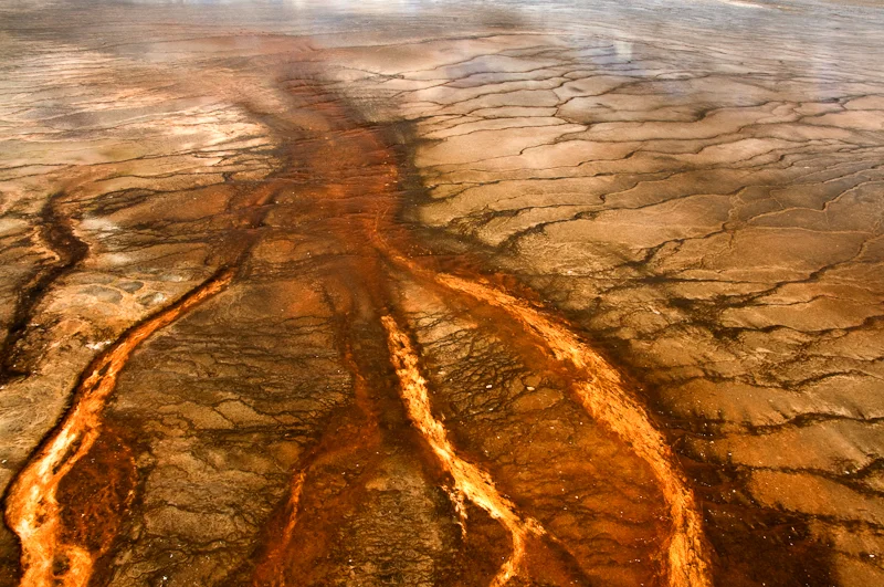 Geyser Study 0139.jpg