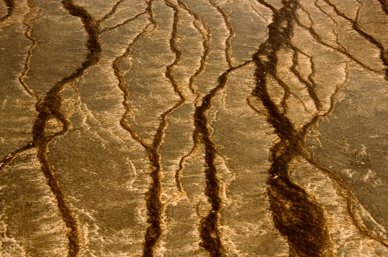 Geyser Study 0153.jpg