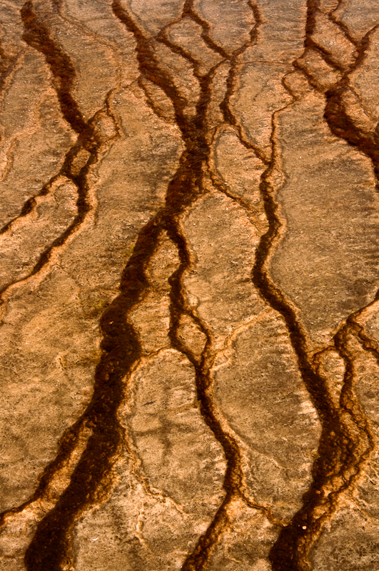 Geyser Study 0164.jpg