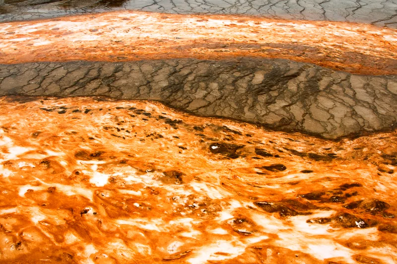 Geyser Study 0199.jpg