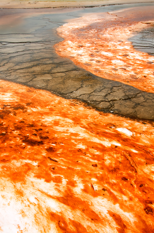 Geyser Study 0205.jpg
