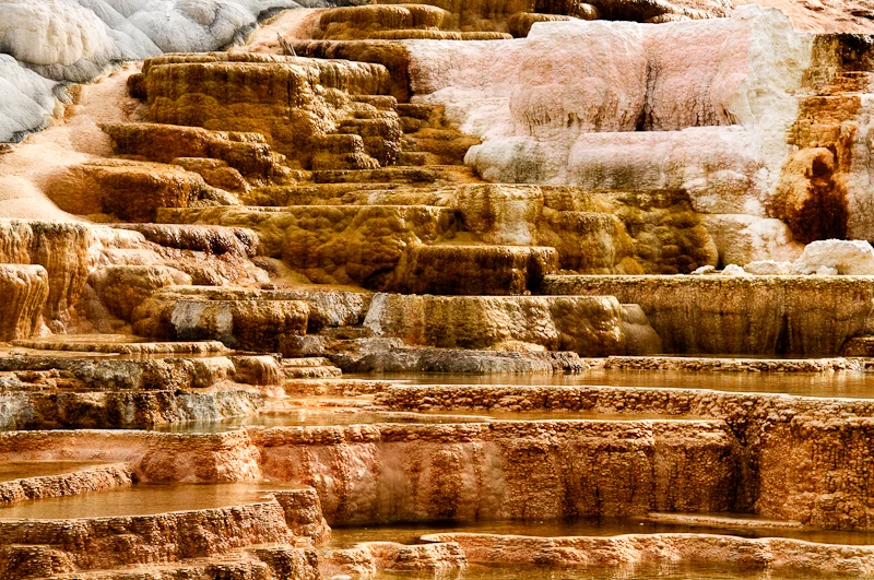 Geyser Study 0518.jpg