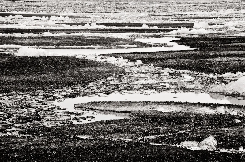 Icefield0072.jpg