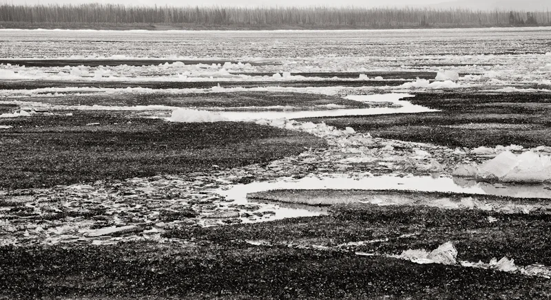 Icefield0083.jpg