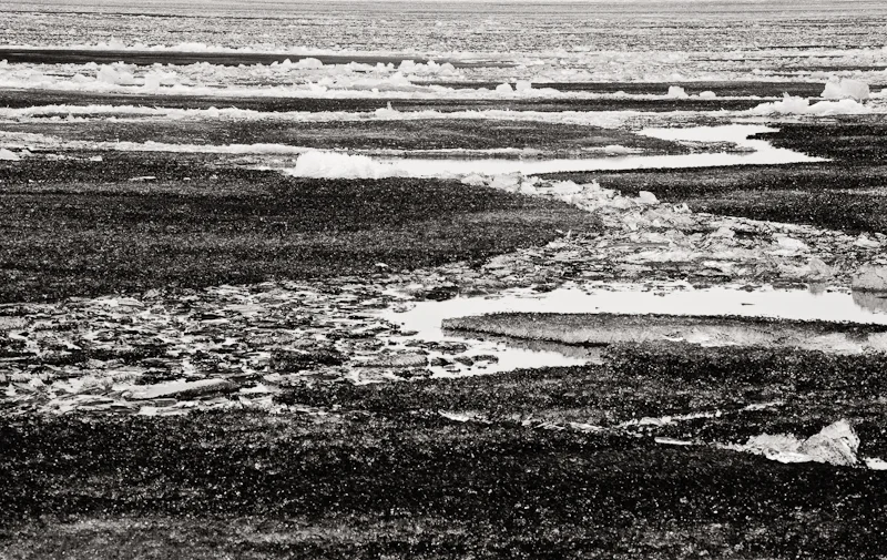 Icefield0089.jpg