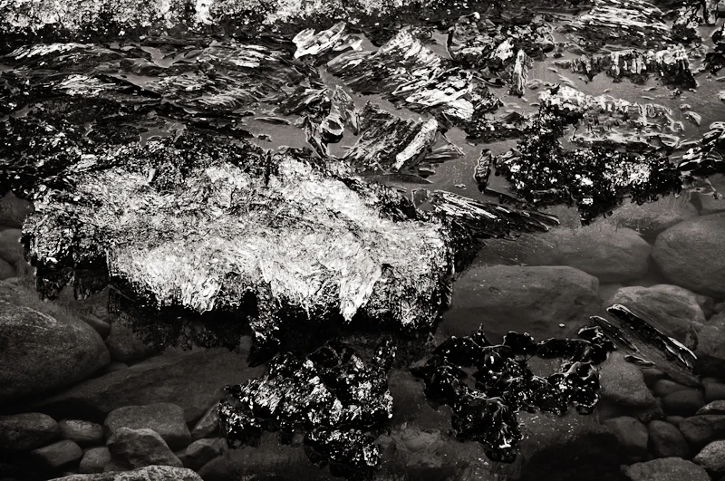 Icefield0097.jpg