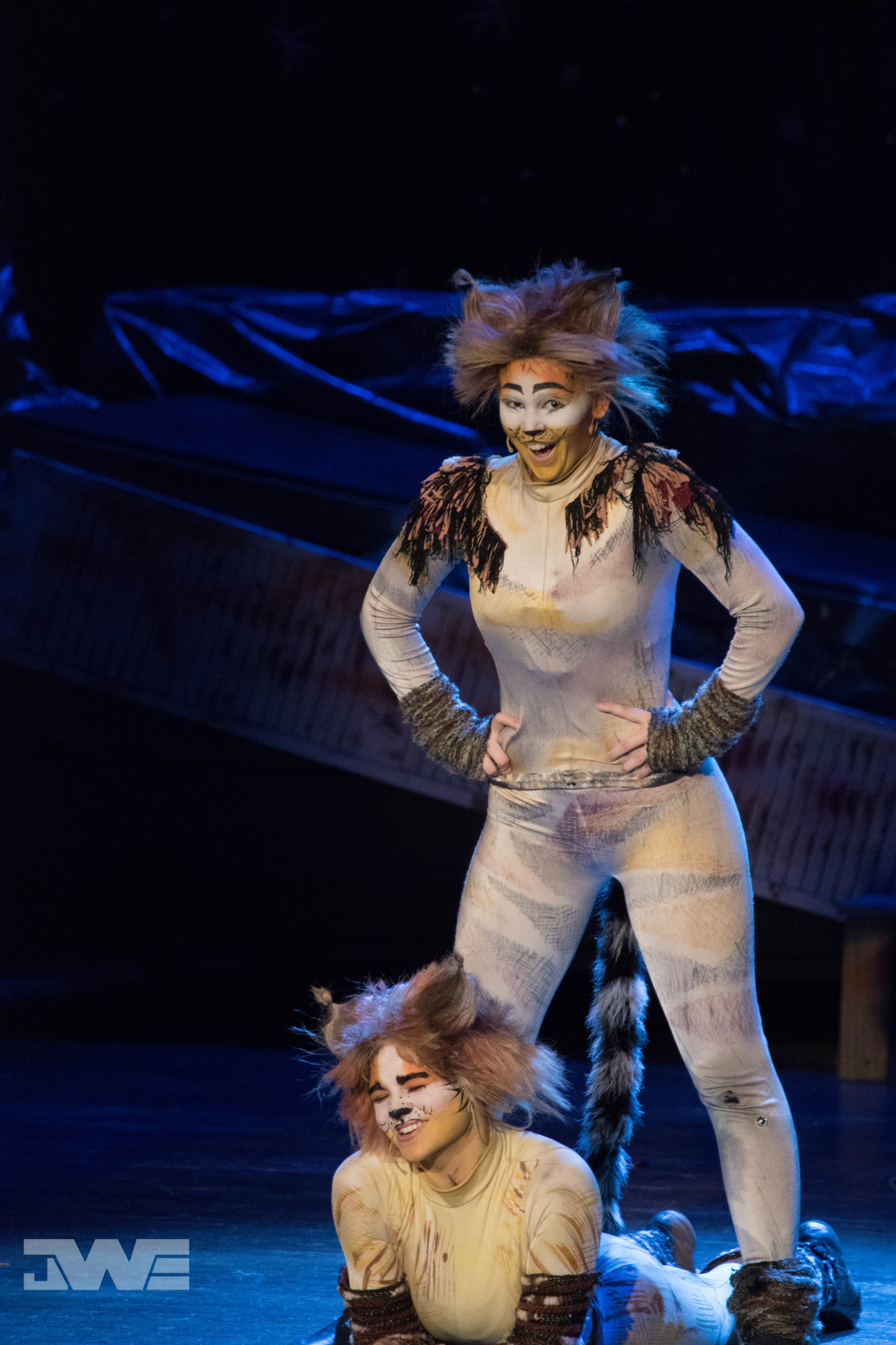 CATS-PHS-2018-0292.jpg